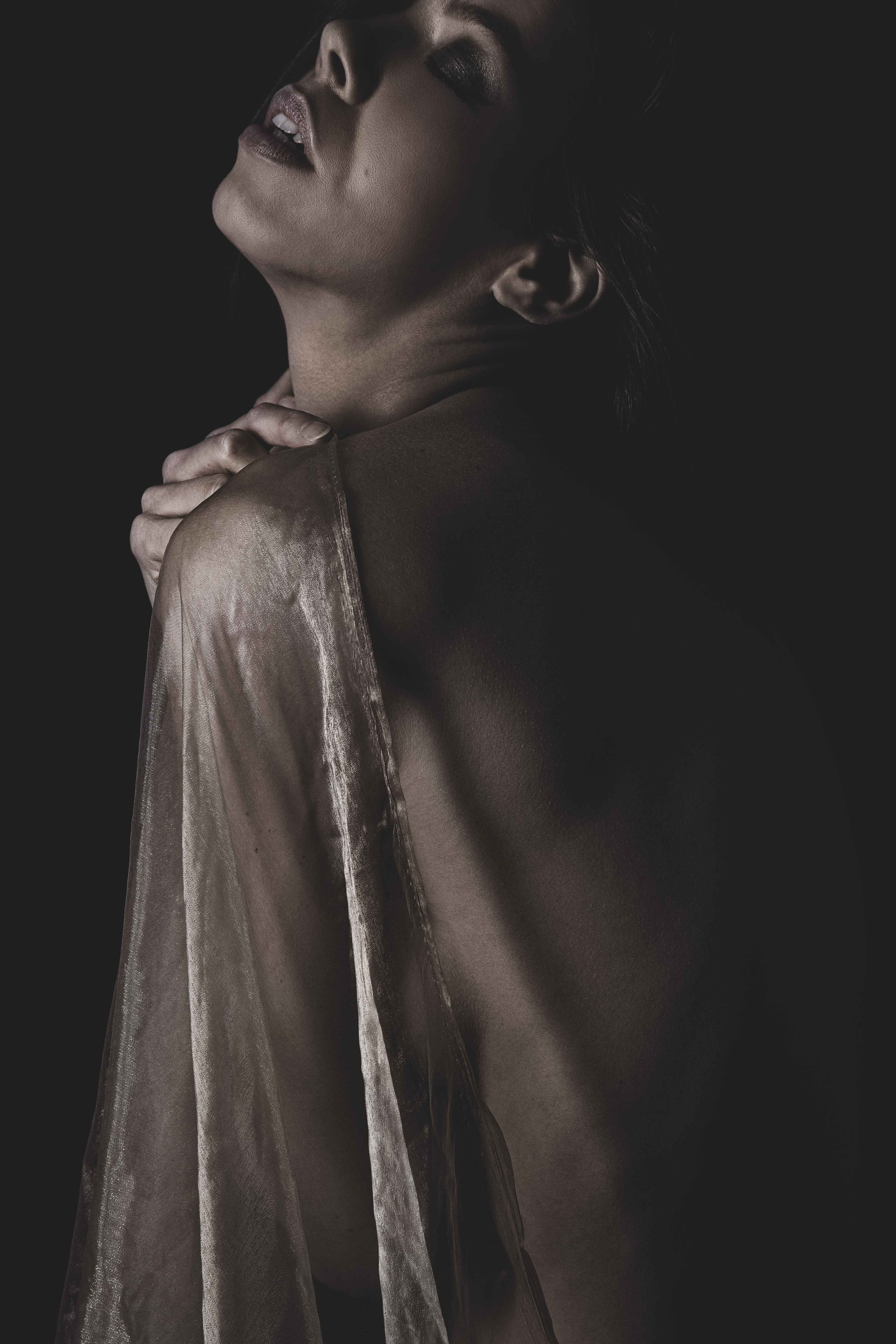 Künstlerischer Akt Fotografie Fotoart